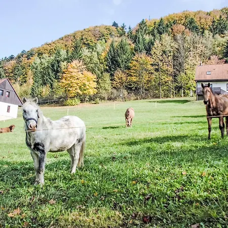 Vakantiehuis Valley Park 19 By Interhome Stárkov
